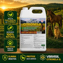 Óleo Citronela Repelente Natural 5l Vbrasil Canil Estábulo