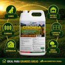 Óleo Citronela Repelente Natural 5l Vbrasil Canil Estábulo