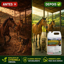Óleo Citronela Repelente Natural 5l Vbrasil Canil Estábulo